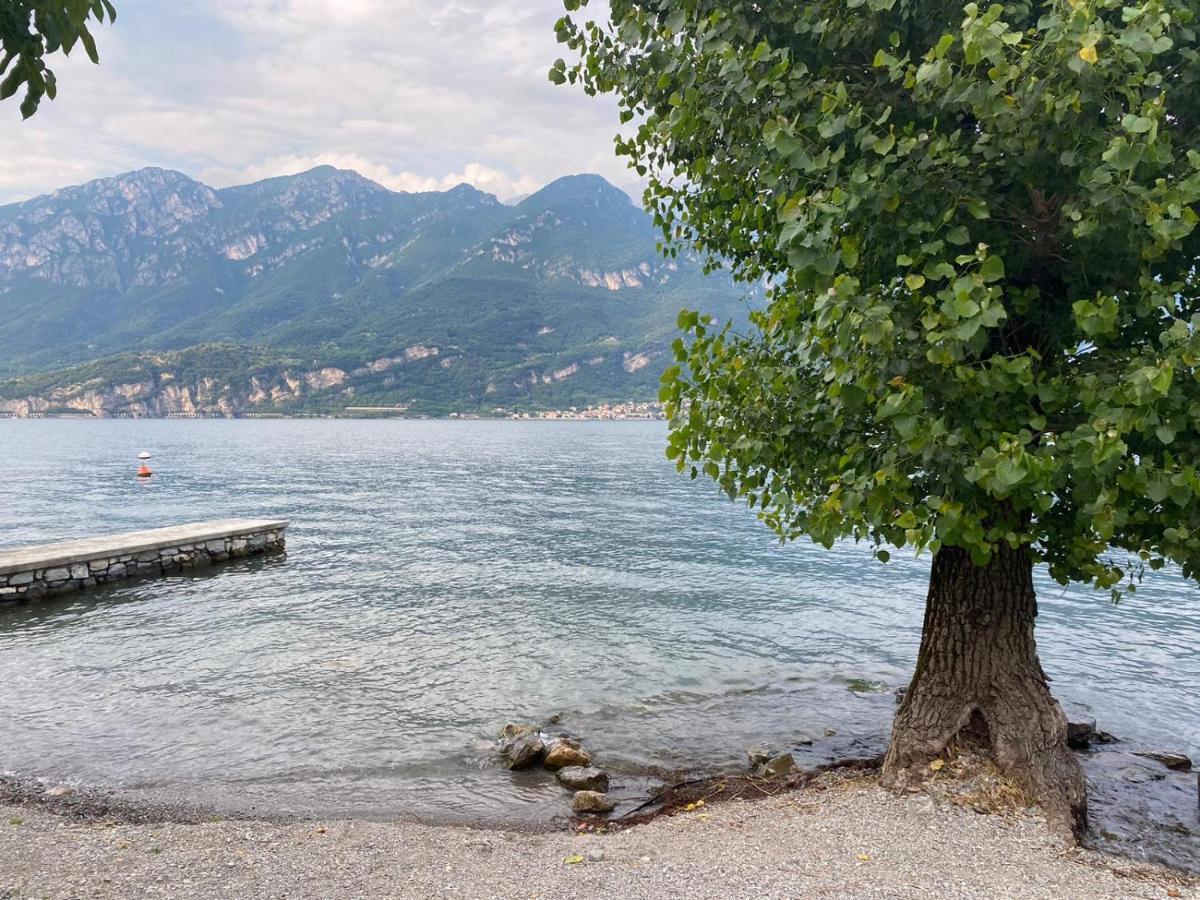 Al Cottage Oliveto Lario Eksteriør billede