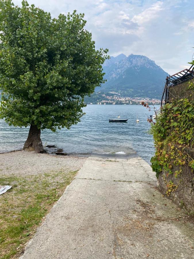 Al Cottage Oliveto Lario Eksteriør billede